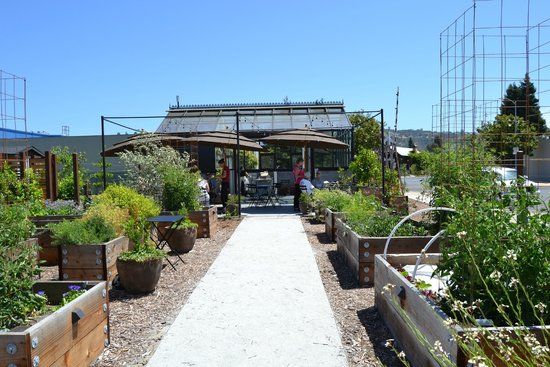 St Clair Brown Winery & Brewery